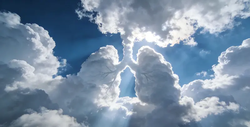 海口肺癌（EGFR T790M)突变检测图片1