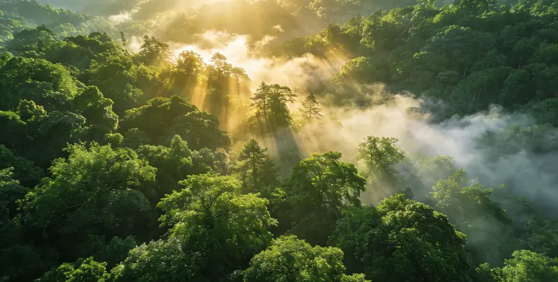 海口肺癌11基因检测组织版图片1